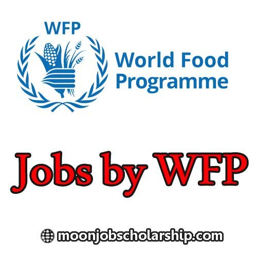 Apply for jobs in wfp Afghanistan. The World Food Programme (WFP) is the premier humanitarian organization, saving and transforming lives by providing emergency food aid and working with communities to enhance nutrition and resilience.